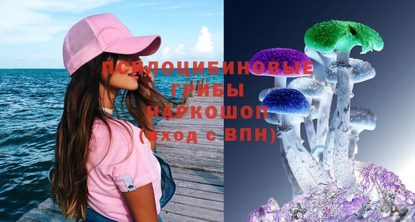 дурь Алексеевка