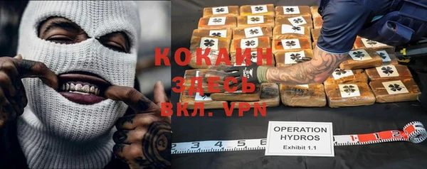 шишки Алексин