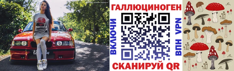 Псилоцибиновые грибы Psilocybe  mega рабочий сайт  Бабушкин 